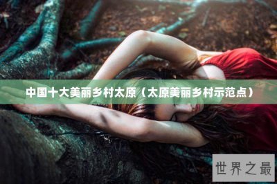 ​中国十大美丽乡村太原（太原美丽乡村示范点）