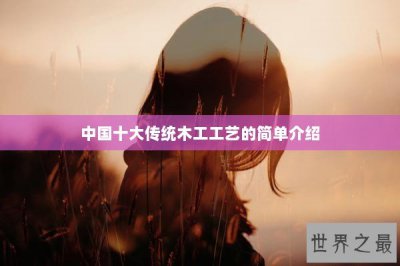 ​中国十大传统木工工艺的简单介绍