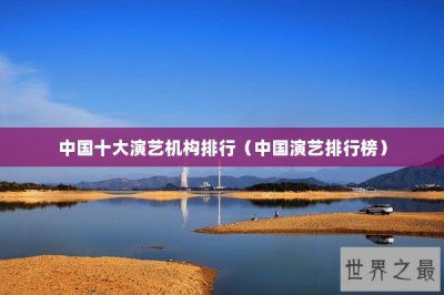 ​中国十大演艺机构排行（中国演艺排行榜）