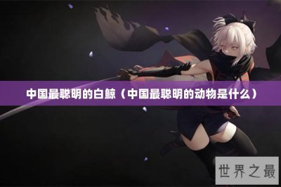 ​中国最聪明的白鲸（中国最聪明的动物是什么）