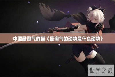 ​中国最淘气的猫（最淘气的动物是什么动物）