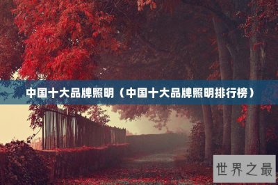 ​中国十大品牌照明（中国十大品牌照明排行榜）