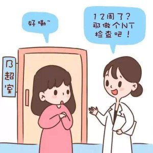 ​产检nt指标标准 产检nt偏高什么原因