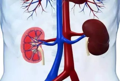 ​肾阳虚和肾阴虚吃六味地黄丸有效果吗 肾阴虚和阳虚吃六味地黄丸行吗