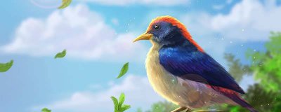 ​蓝色羽毛的鸟叫什么 蓝颜色羽毛鸟叫什么鸟