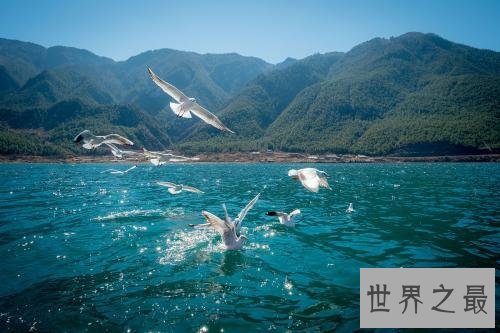 国内十大精致小众旅行地,不拥挤的魅力景色