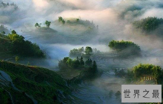 全球最美的十大梯田排行榜,小小梯田蕴含大智慧!