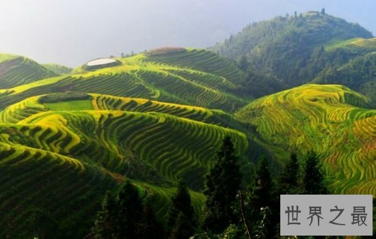 全球最美的十大梯田排行榜,小小梯田蕴含大智慧!