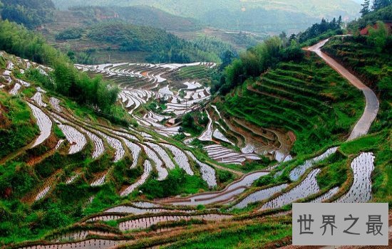 全球最美的十大梯田排行榜,小小梯田蕴含大智慧!