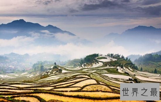 全球最美的十大梯田排行榜,小小梯田蕴含大智慧!