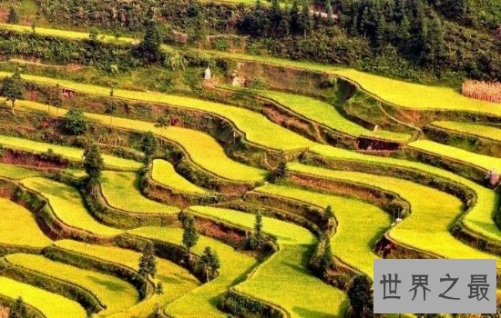 全球最美的十大梯田排行榜,小小梯田蕴含大智慧!