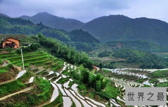 全球最美的十大梯田排行榜,小小梯田蕴含大智慧!