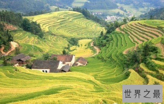 全球最美的十大梯田排行榜,小小梯田蕴含大智慧!