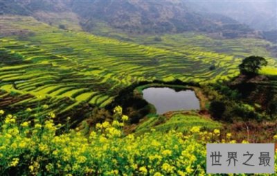 ​全球最美的十大梯田排行榜，小小梯田蕴含大智慧！