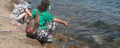 ​河里的螃蟹怎么钓用什么钓饵 河里的螃蟹怎么钓用什么钓最好