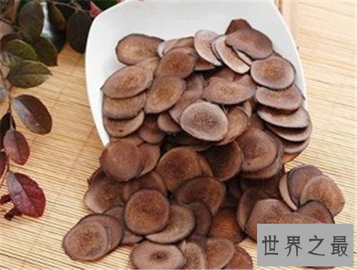 中国十大珍贵药材，个个都是救命的良药