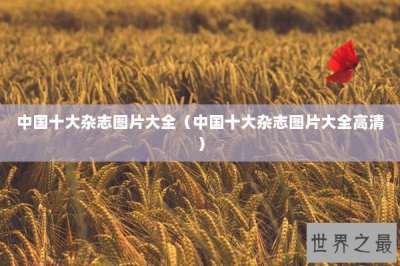 ​中国十大杂志图片大全（中国十大杂志图片大全高清）