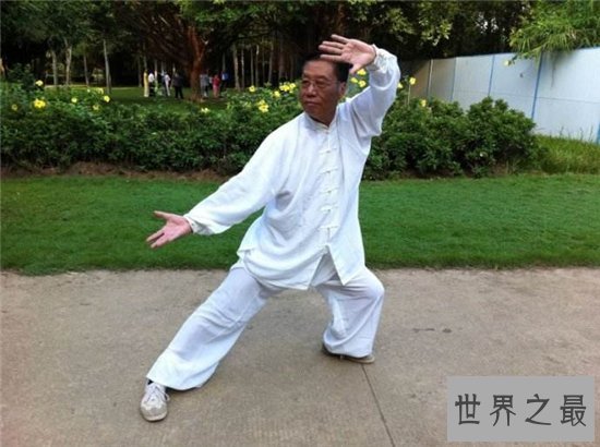 中国十大武术排名,少林拳是最重要的中国功夫之一