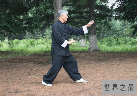 中国十大武术排名,少林拳是最重要的中国功夫之一