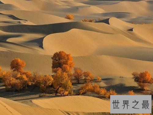 世界十大沙漠排名,荒无人烟中带有一丝绿意