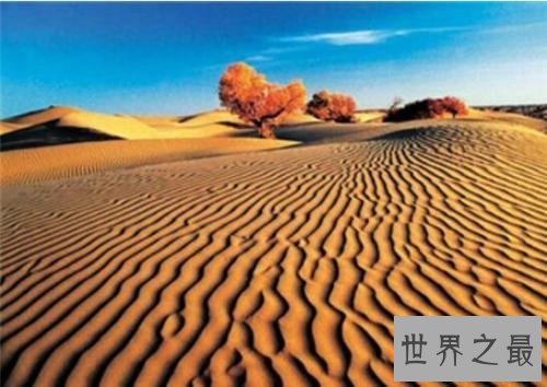 世界十大沙漠排名,荒无人烟中带有一丝绿意