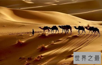 ​世界十大沙漠排名，荒无人烟中带有一丝绿意