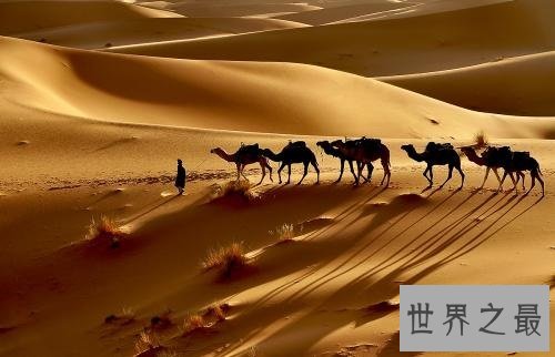 世界十大沙漠排名,荒无人烟中带有一丝绿意