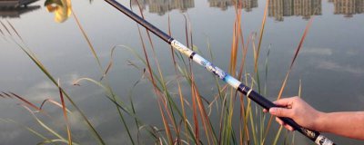 ​台钓竿可以钓海鱼吗视频 海钓可以用台钓竿吗