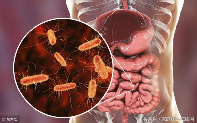 ​养胃吃什么食物最好 知乎 养胃的食物 养胃