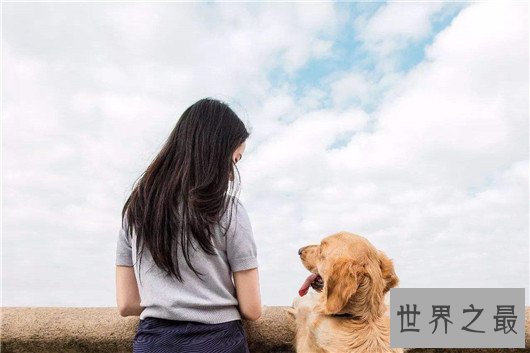 养宠物的好处，不只是给你带来快乐和陪伴