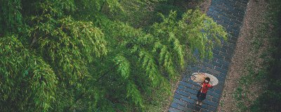 ​下雨前为什么会有很多飞蛾 下暴雨前为什么出现很多飞蛾