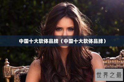 ​中国十大软体品牌（中国十大软体品牌）