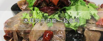 ​牛肉可以同木耳一起炒吗 木耳能与牛肉一起炒吗
