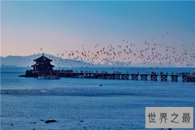 ​山东旅游必去景点排行榜，盘点山东旅游必去景点！