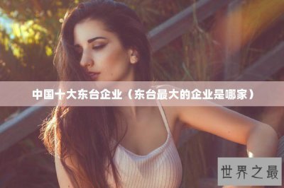 ​中国十大东台企业（东台最大的企业是哪家）