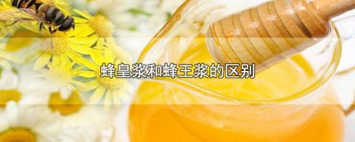 ​蜂皇浆是甜的吗还是酸的 真正蜂皇浆的味道