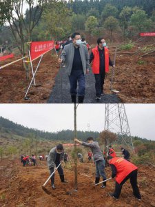 ​单字诗意团名 160是不是很矮