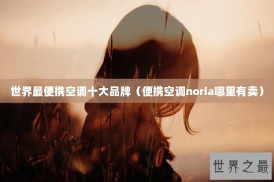 ​世界最便携空调十大品牌（便携空调noria哪里有卖）