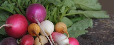 ​豆浆可以和萝卜一起吃吗? 萝卜可不可以和豆浆一起吃