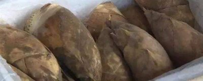 ​冬笋可以放多长时间[冬笋能放几天]