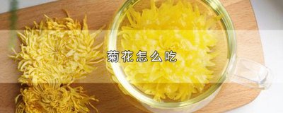 ​可食用鲜菊花怎么吃 鲜白菊花怎么吃