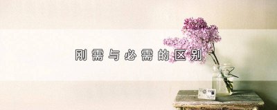 ​刚需与必需的区别 刚需和必需品