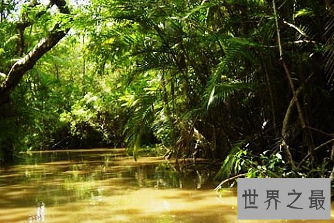 全球十大鬼斧神工的天然美景，每一个都如同天堂一般。