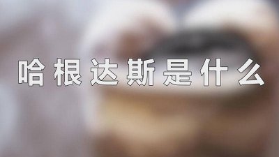 ​哈根达斯是什么国家的 哈根达斯是什么语言