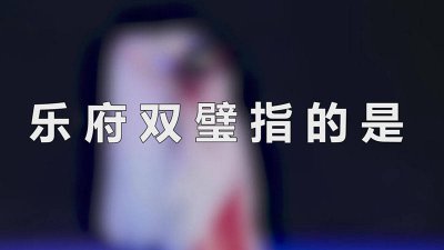 ​乐府双璧指的是哪两个 乐府双璧指的是《孔雀东南飞》与什么