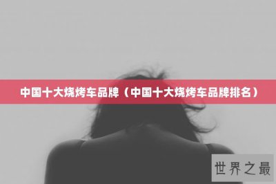 ​中国十大烧烤车品牌（中国十大烧烤车品牌排名）