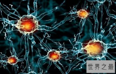 ​世界十大恐怖病毒排行榜，让人听了名字就害怕。