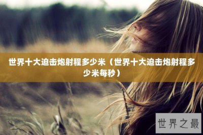 ​世界十大迫击炮射程多少米（世界十大迫击炮射程多少米每秒）