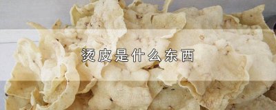 ​什么是烫皮? 烫到真皮层是什么现象