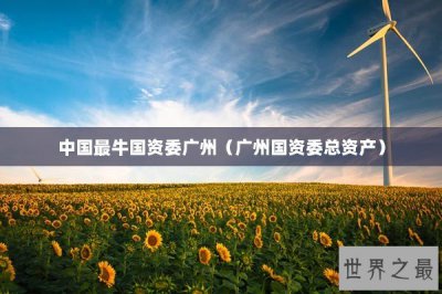 ​中国最牛国资委广州（广州国资委总资产）